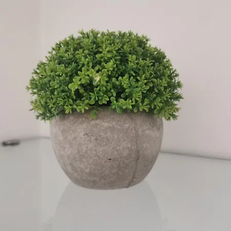 - White - White&black Apartmans-free Parking-